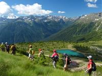 Pohodový týden v Alpách - Itálie - Passo Tonale-ráj pod ledovcem s kartou