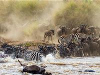 Uganda, Keňa - Nejúžasnější africké safari s permity a soukromými lety v ceně