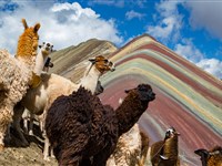 Peru - Pohodový týden u Machu Picchu s návštěvou Duhových hor