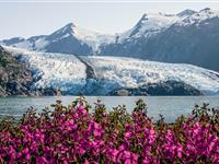 USA - Na cestě divokou Aljaškou a indiánským Washingtonem s lehkou turistikou